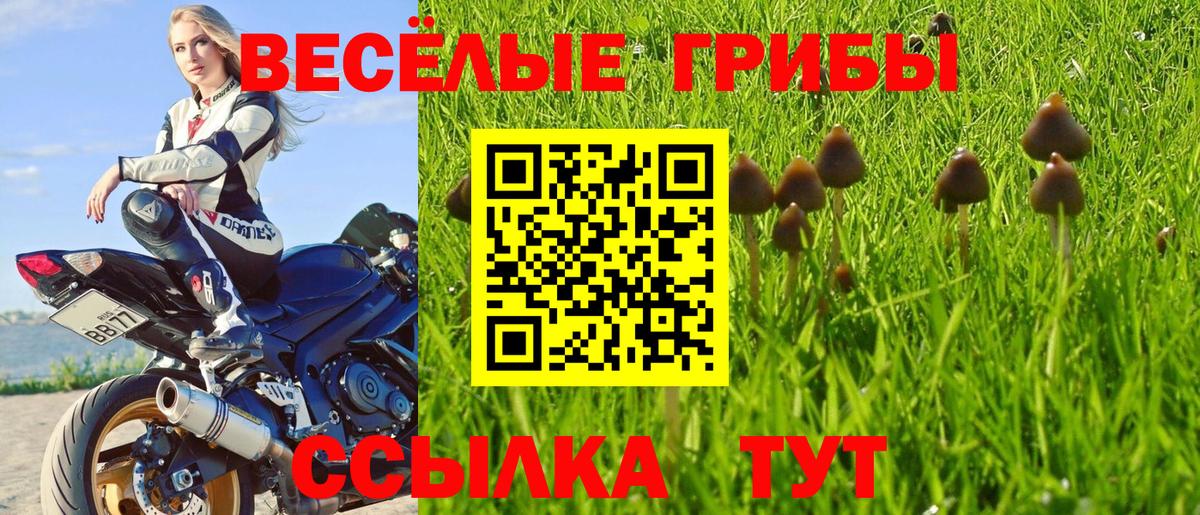 Псилоцибиновые грибы мухоморы Крымск